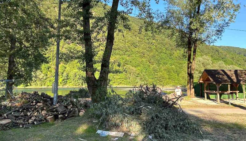 Nelegalna sječa drveća na Rajskoj plaži u Bratuncu