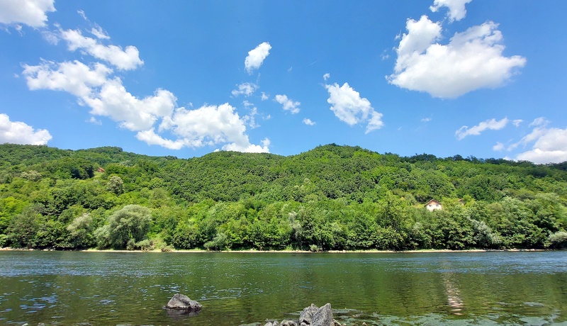 Dragomir Mihajlović pobednik ribolovačkog takmičenja
