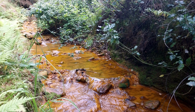 Proglasen Park prirode „Guber“ u Srebrenici