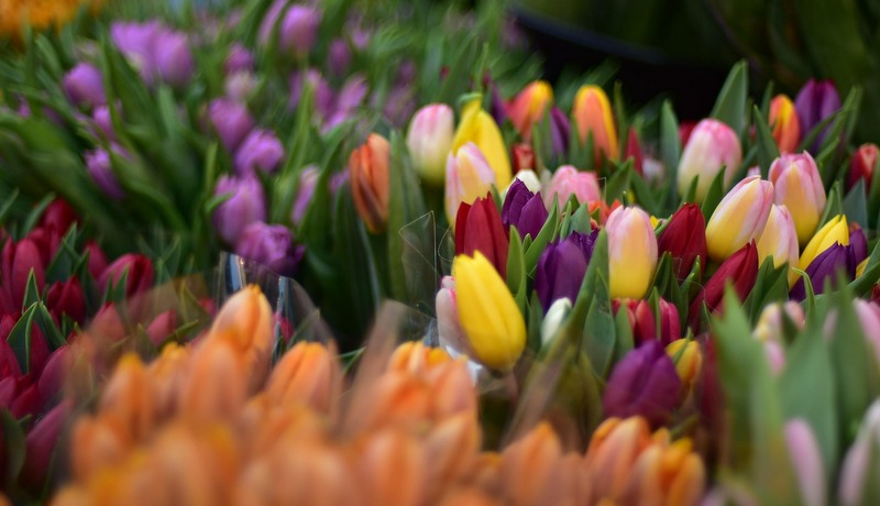 Pojačan inspekcijski nadzor povodom 8. marta