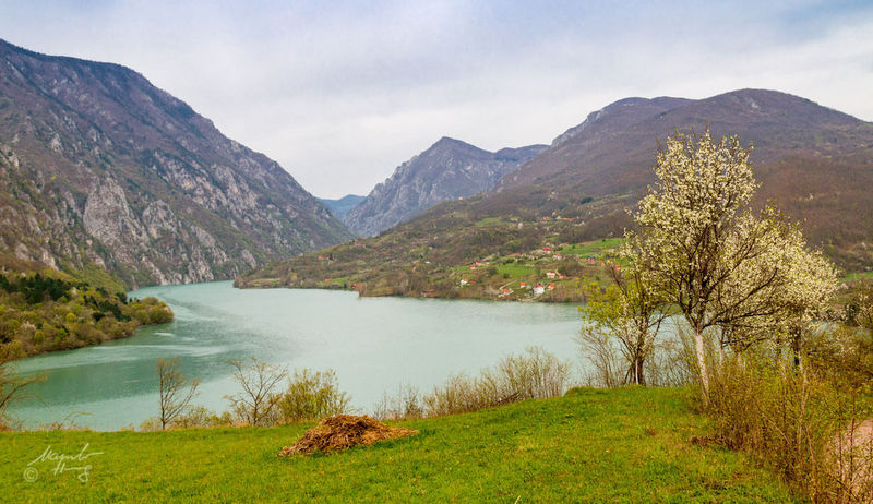 Prirodne vrijednosti NP Drina