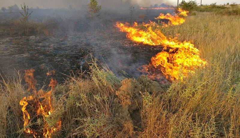 Stanje planete: Vremena više nema