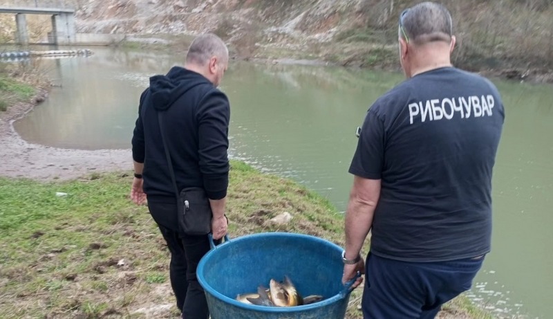 Zvorničko jezero i Drinjača bogatiji za pola tone ribe